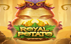 Royal Potato