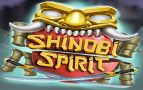 Shinobi Spirit