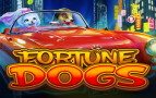 Fortune Dogs