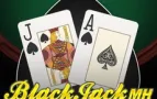 Double Exposure BlackJack