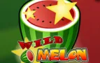 Wild Melon