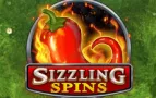 Sizzling Spins