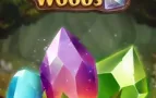 Shimmering Woods