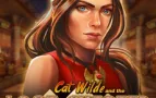 Cat Wilde and the Lost Chapter