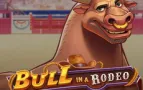 Bull in a Rodeo