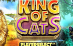 King of Cats Megaways